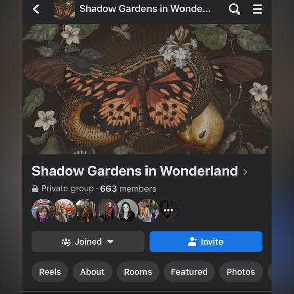 Meet your Posher, Mona lisa - Picture 15 of 15